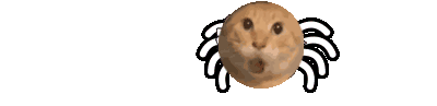 zhizhumao.gif